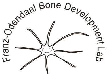 Franz-Odendaal Bone Development Lab